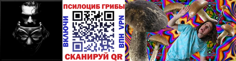 продажа наркотиков  Лебедянь  Галлюциногенные грибы Psilocybine cubensis 
